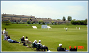 Cricket match at Clowyn Bay