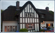 Thatch roof home