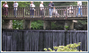 Water fall at Bodnant garden